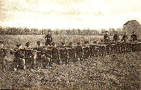 wp30ba389a.jpg