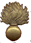 wp91ac59e7.gif